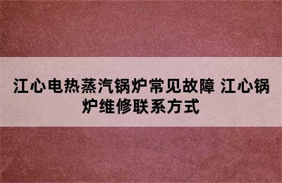 江心电热蒸汽锅炉常见故障 江心锅炉维修联系方式